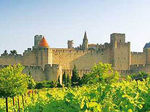 ���_�|���������Ѿ����޹�˾