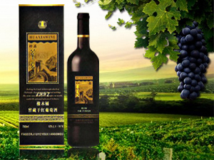 ���Ϸ��񠖾ƘI���޹�˾