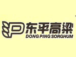 �����|ƽ����������޹�˾