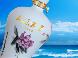 ���϶ſ����ɾ��N�����޹�˾