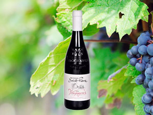 �B�T�г���Q(m��o)�����޹�˾