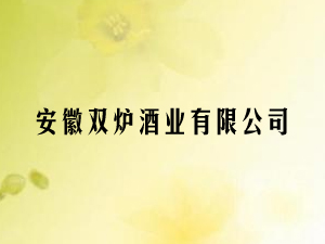 �����p�t�ƘI���޹�˾