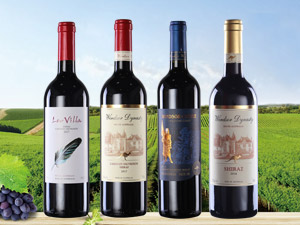 �B�T��Ī���ƘI���޹�˾