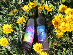 ÷�����ĹŌ��I���޹�˾