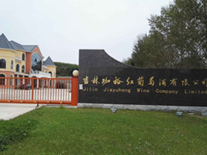 ������ԣ�t���Ѿ����޹�˾