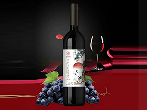 ���T�ƘI���޹�˾