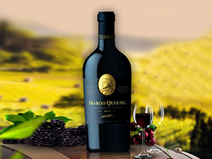 ˹����ƘI�lչ���Ϻ������޹�˾