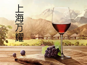 �Ϻ��fҫ���H�Q�����޹�˾