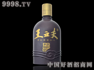 ������ʮ�壩