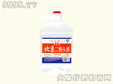 ���ű�������^��42��4.5L-�׾����Ϣ