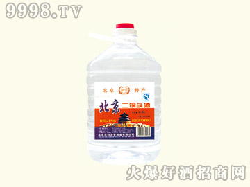 ���ű�������^��56��4.5L��1��4��-�׾����Ϣ