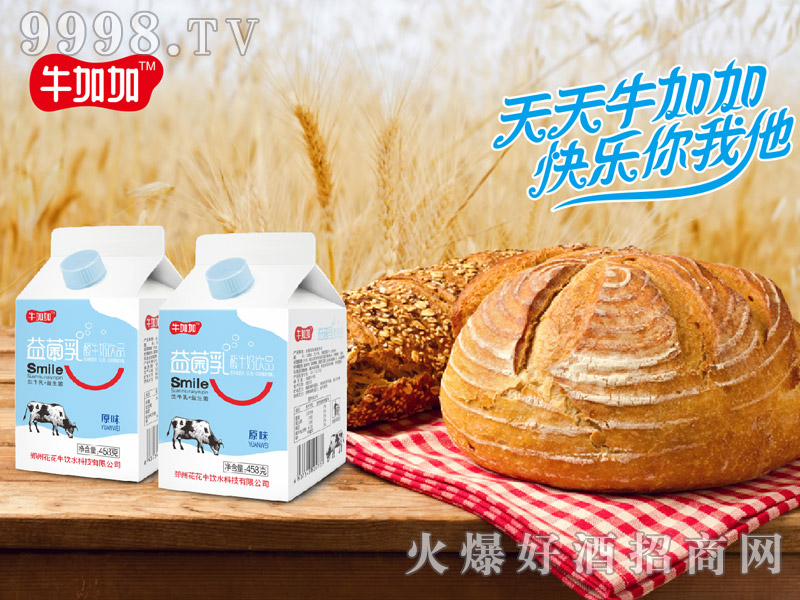 ţӼţԭζ458g픺ţƷ-Ϣ