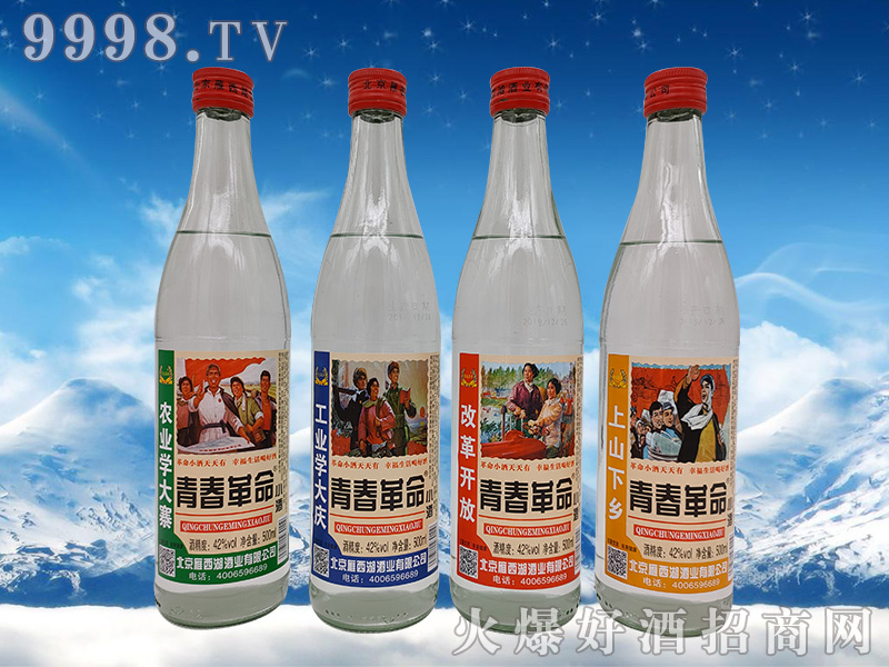 �ഺ������42��500ml�����Ͱ׾�-�׾����Ϣ