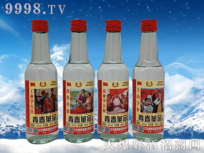 �ഺ������42��260ml�����Ͱ׾�-�׾����Ϣ