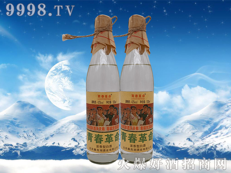 �ഺ������42%vol 500ml�����Ͱ׾�-�׾����Ϣ