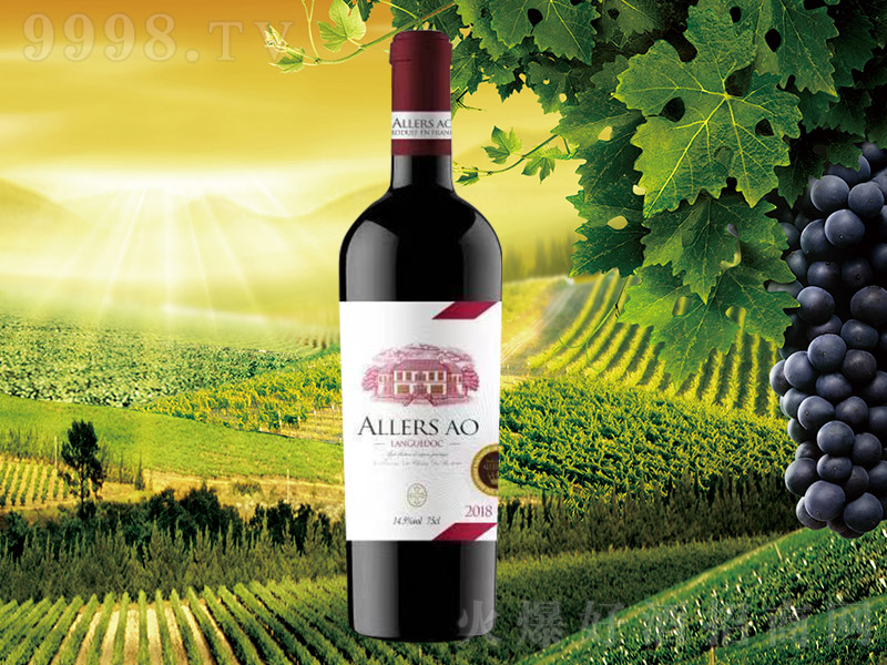 ����˹�W���W�D�Ǳ��ɼt���Ѿơ�14.5�� 750ml��