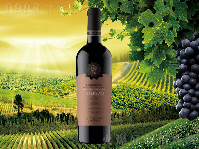 ����˹�W���ʼ����ոɼt���Ѿơ�14.5�� 750ml��