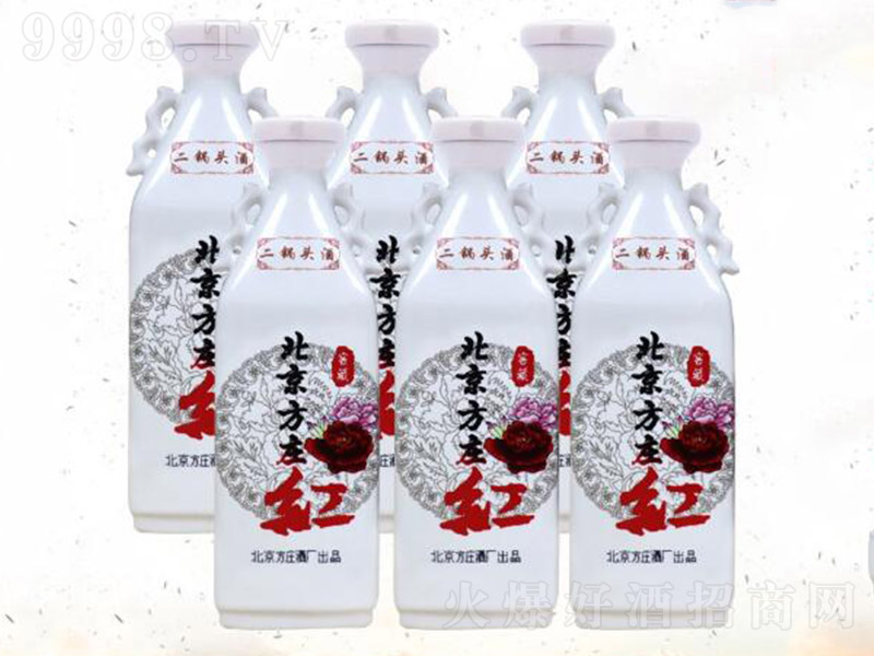 �������f�t�Ѳؾ� �����Ͱ׾ơ�53�� 500ml��