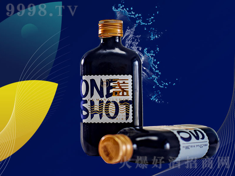 �����u�� �u���Ͱ׾ơ�53�� 500ml��