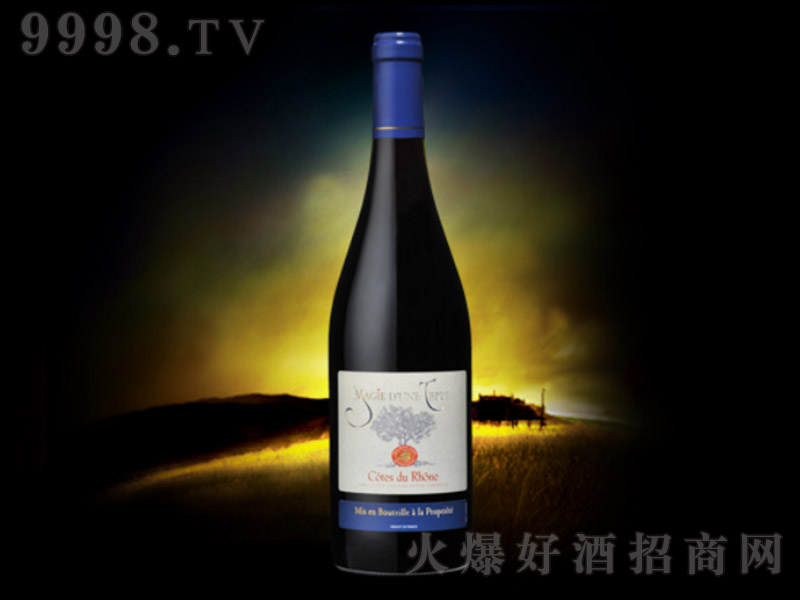 �����_�{�t�����Ø�ɼt���Ѿơ�13�� 750ml��-�t�����Ϣ