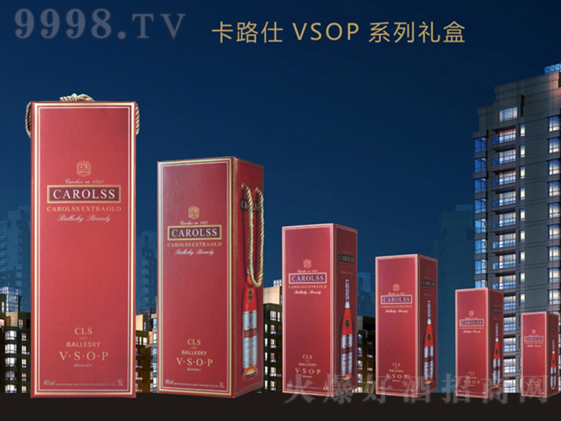 ��·��VSOP���m��ϵ�жY�С�40�� 3000ml��