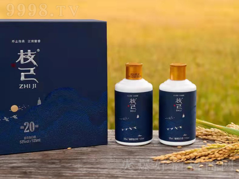 ֦���� �u���Ͱ׾ơ�53�� 125ml��2ƿ��