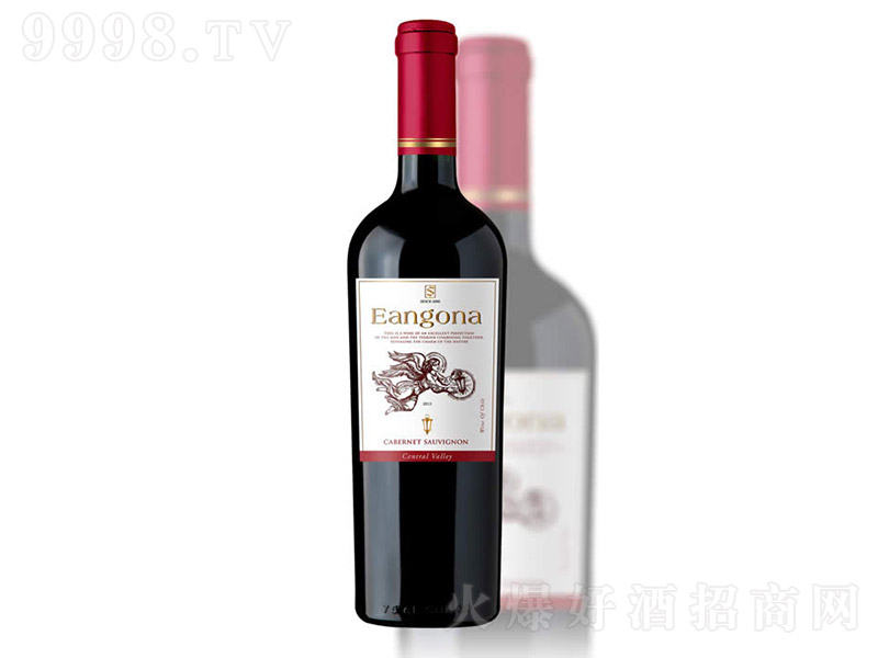 ������Ʒ�N����ϼ��t���Ѿơ�13�� 750ml��-�t��������Ϣ