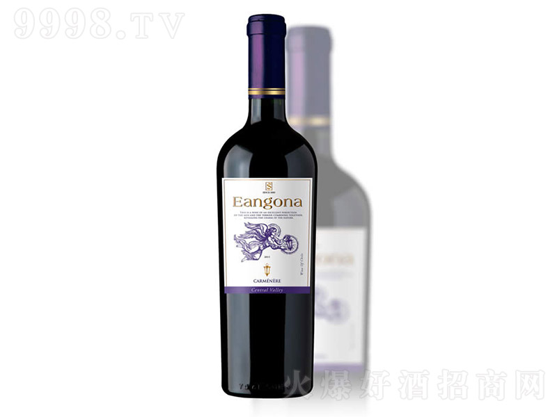 ������Ʒ�N�������ȼt���Ѿơ�13�� 750ml��-�t��������Ϣ