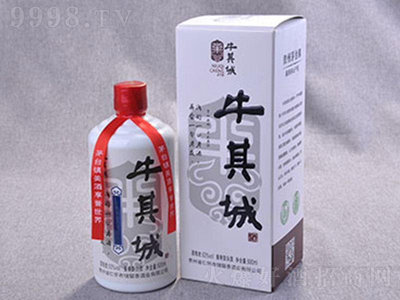 ţ��Ǿ� �u���Ͱ׾ơ�53�� 500ml��