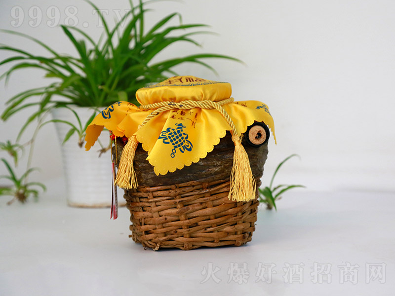 �S��t�� �����Ͱ׾ơ�55�� 5L��