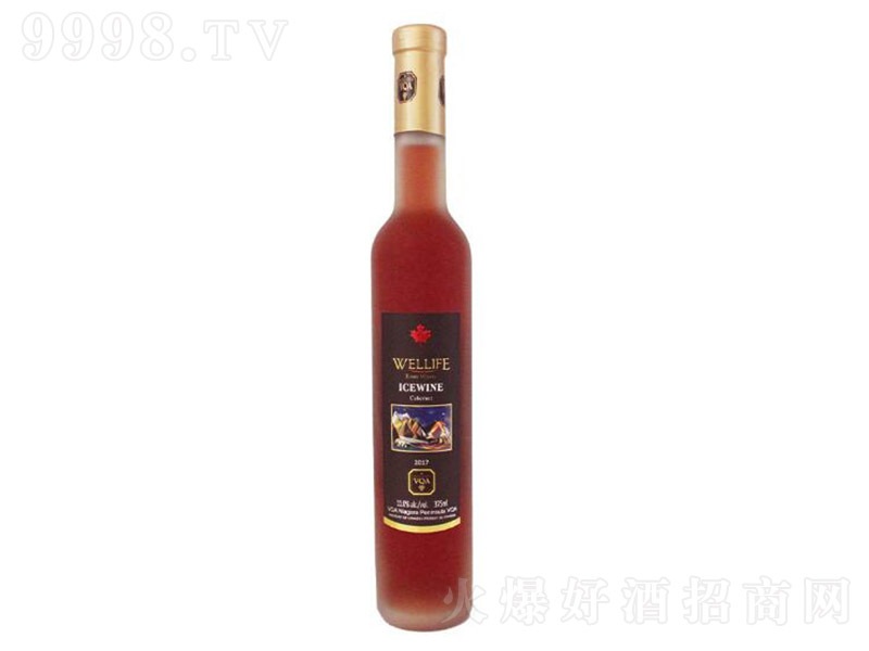 ���m�ΰ��ȱ��t���Ѿơ�11�� 375ml��-�t���(l��i)��Ϣ