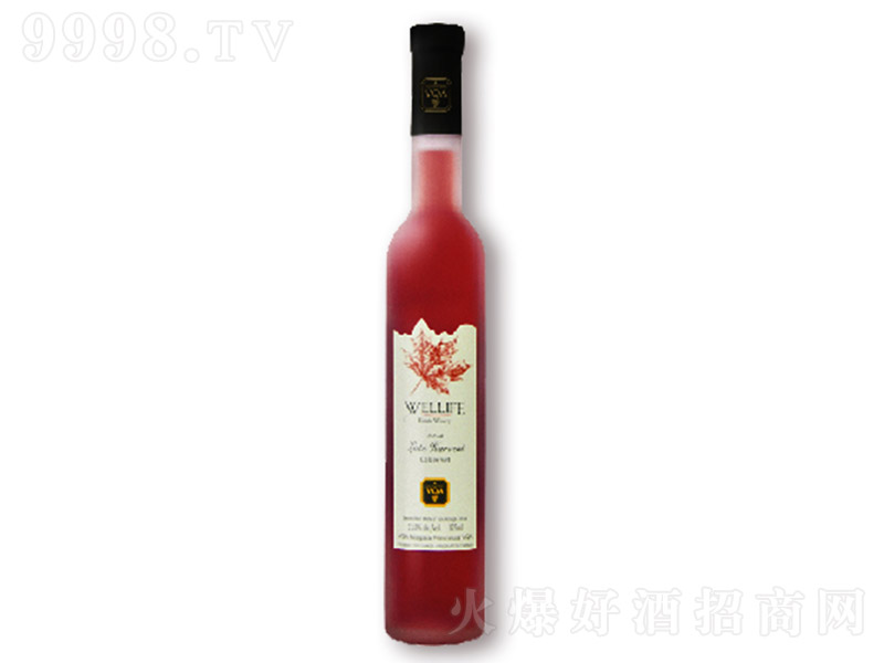 ���m�ΰ������ռt���Ѿơ�11�� 375ml��-�t�����Ϣ