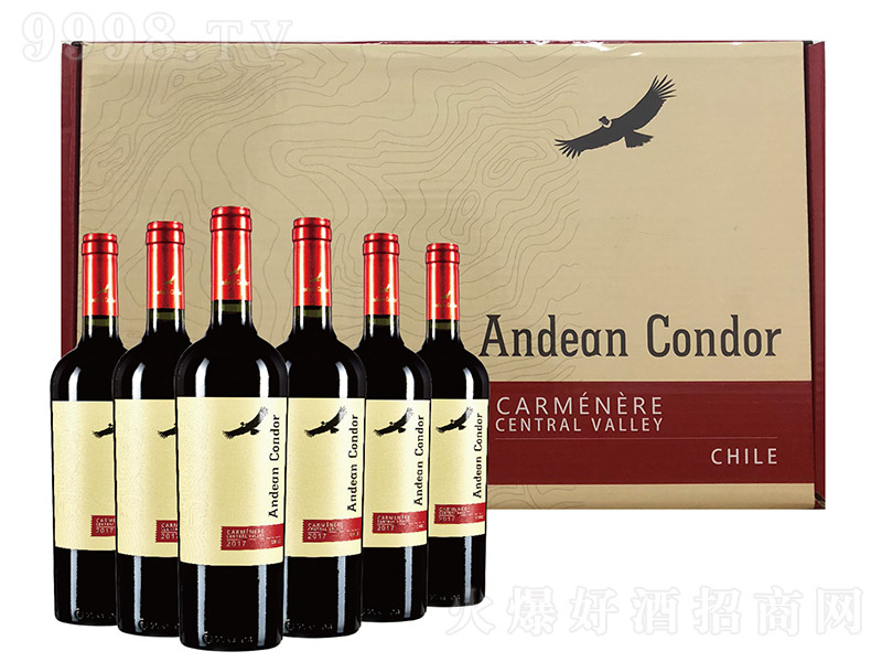 ����˹�����ɼt���Ѿơ�750ml��-�t�����Ϣ