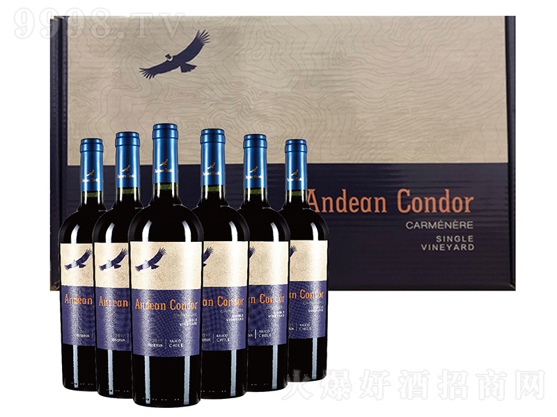 ����˹������ظɼt���Ѿơ�750ml��-�t�����Ϣ