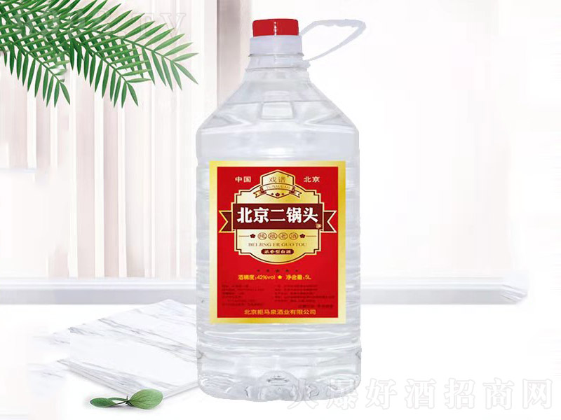 V^t(bio) Ͱ׾ơ42 5L