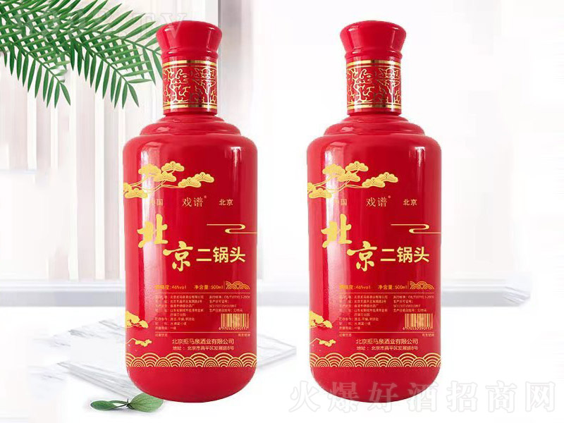 V^tƿ Ͱ׾ơ42 500ml