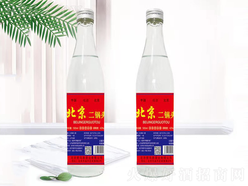 V^t(bio) Ͱ׾ơ42 500ml