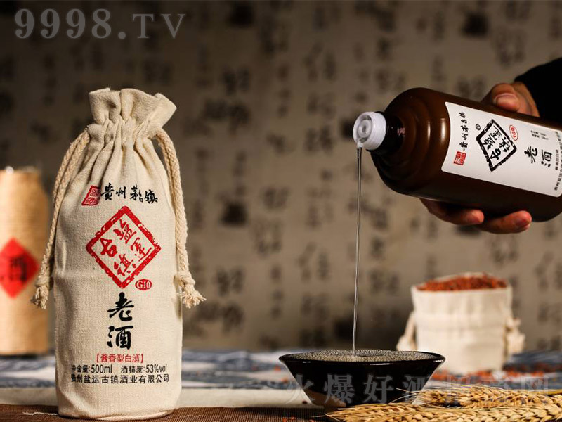 �}�\����Ͼ�G10 �u���͡�53�� 500ml��-�׾����Ϣ