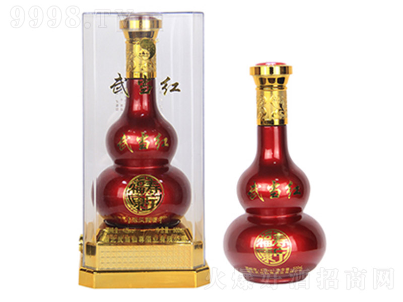 �䮔�t���ۿ����� �����Ͱ׾ơ�42�� 500ml��-�׾����Ϣ