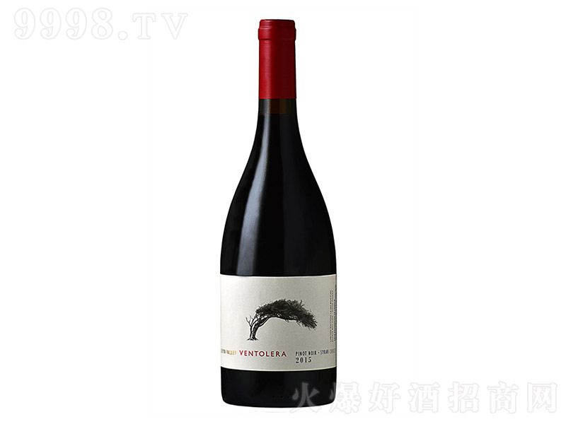 RƤZɼtѾơ13 750ml-tϢ