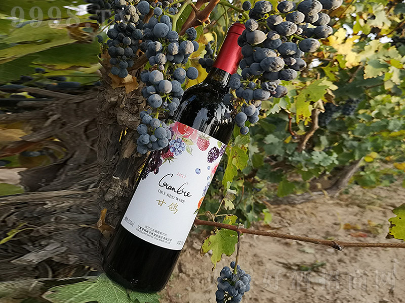 ʘ(bio)ɼtѾ750ml-tϢ