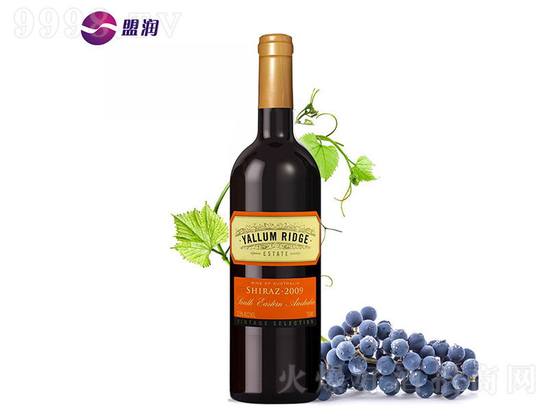 ������·�O���Ӹɼt���Ѿ�750ml-�t�����Ϣ