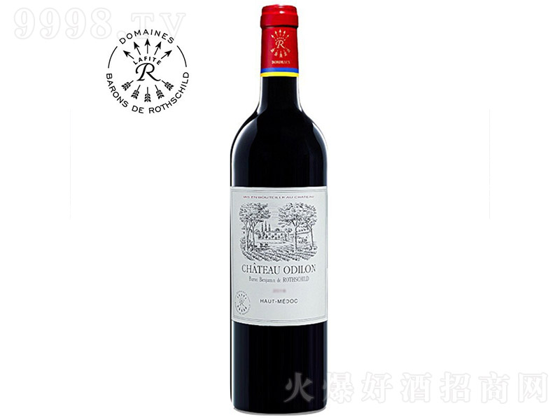 �rʯ�ű���÷��˼t���Ѿ�750ml-�t�����Ϣ