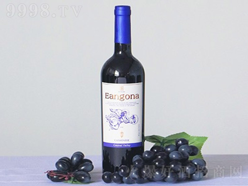 �����ȼ����ȸɼt���Ѿơ�13�� 750ml��