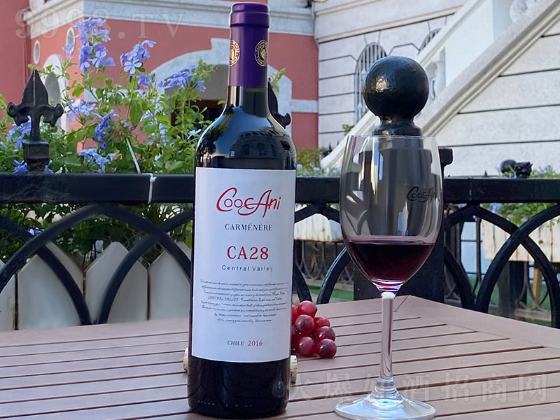 �찬��CA28���������Ѿ�ƿ��13�� 750ml��-�t�����Ϣ