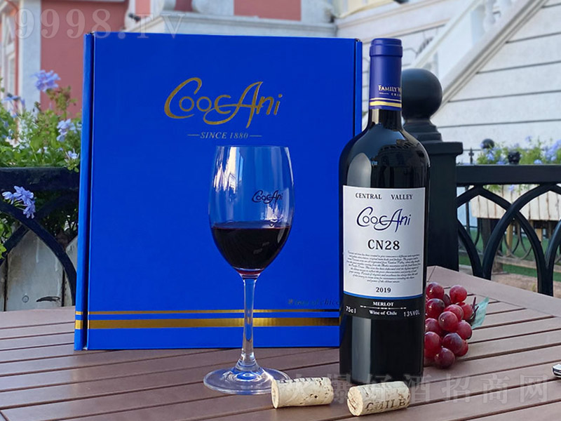 �찬��CN28÷�����ѾƺС�13�� 750ml��