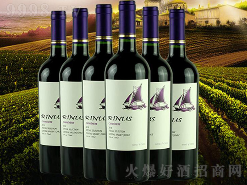 �����M�ھ��x�L��˼�ɼt���Ѿơ�13�� 750ml��