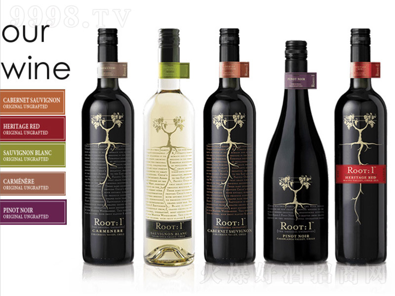 ���������Ђ��y��ػ�ᄸɼt���Ѿơ�750ml��-�t�����Ϣ