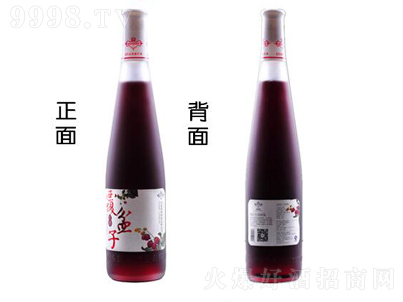 Ǭ�����串���Ӹɼt�t�ơ�12�� 500ml��