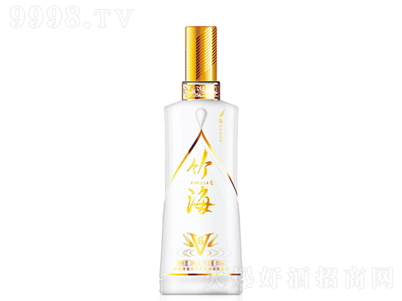 񺣾V6 ͡38500ml